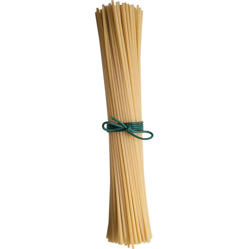 SPAGHETTONI DEL LEONE