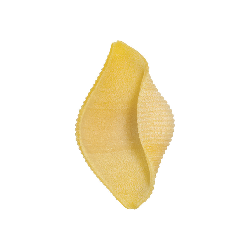CONCHIGLIONI